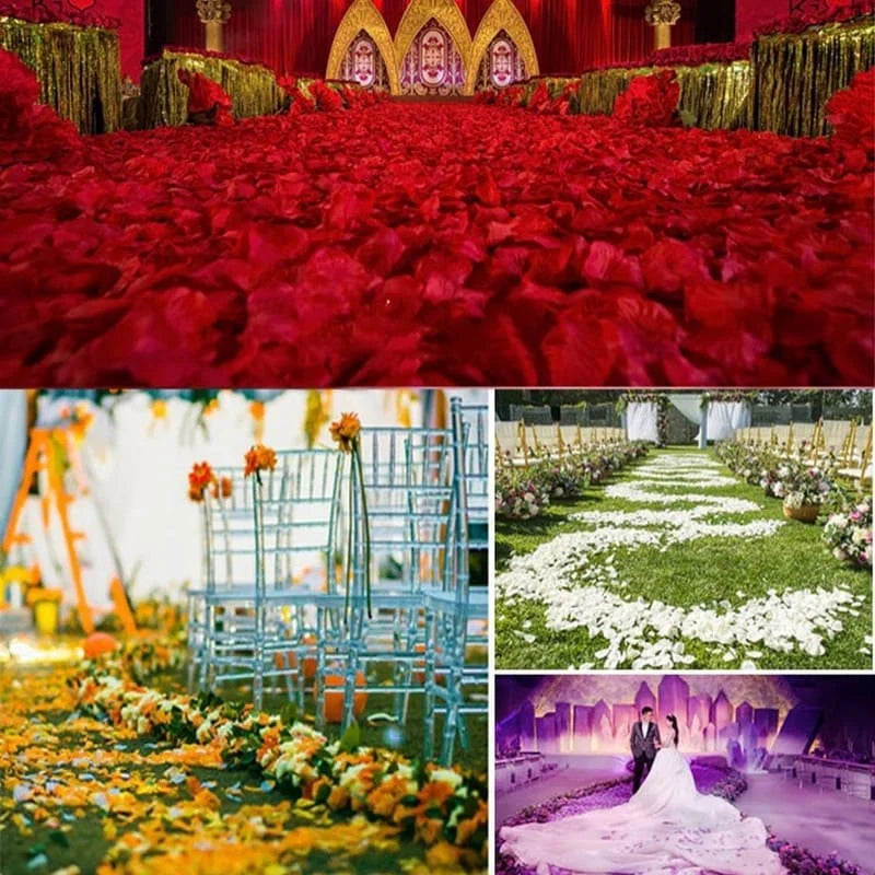 Pétales de Roses