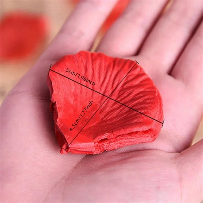 Pétales de Roses