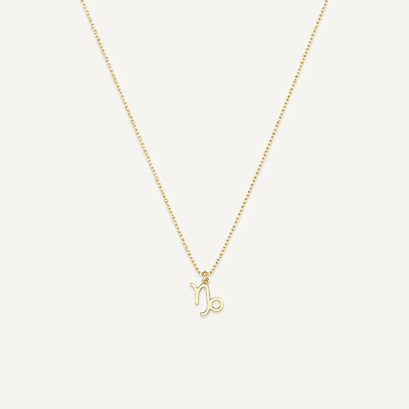 Collier Signe Astrologique Personnalisé Or Capricorne